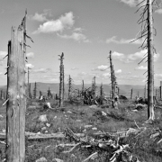 Deadlands