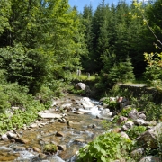 Reka
