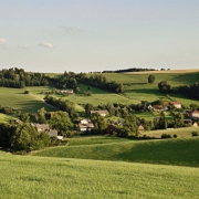 Vesnicka